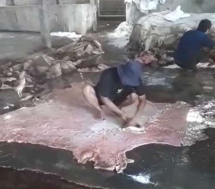 Mata Kuliah Pengetahuan Bahan Maba Seni Kriya Studi Langsung Di Pengolahan Bahan Kulit