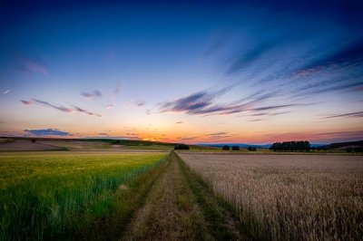 Lorem Ipsum 4